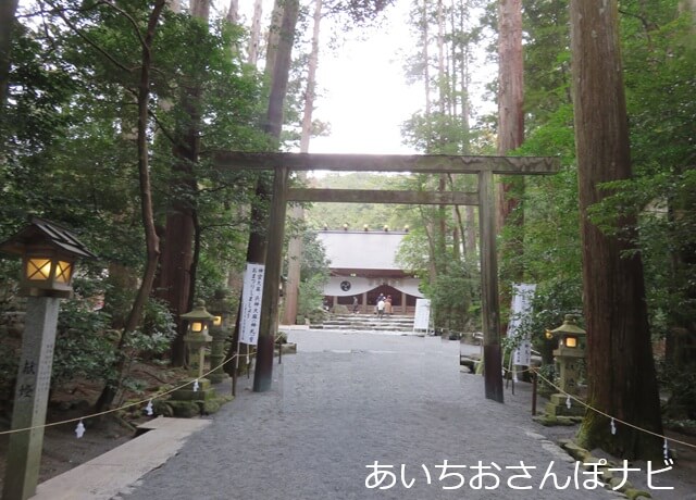 椿大社の参道