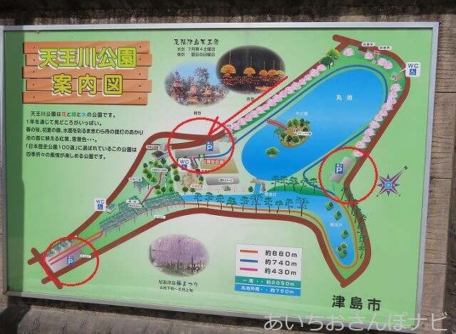 天王川公園藤まつり21年は中止 見頃はいつ アクセスと駐車場をご紹介 あいちおさんぽナビ