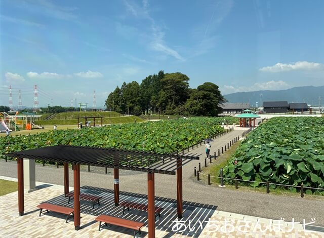 道の駅ふれあいの里HASUパーク はす見テラス