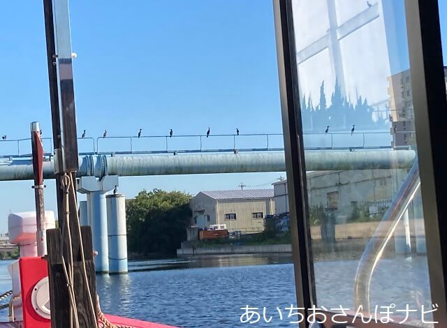 クルーズ名古屋から見る中川運河のカワウ