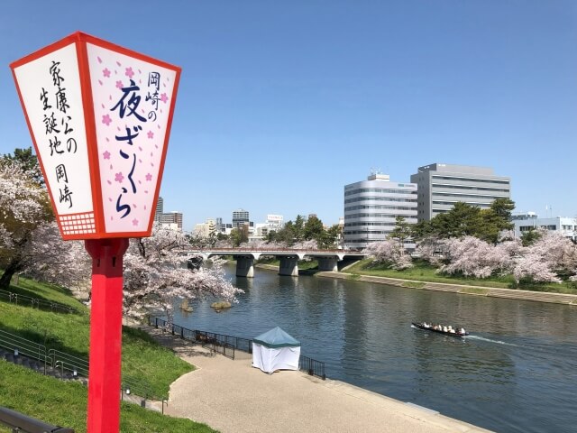 岡崎の桜