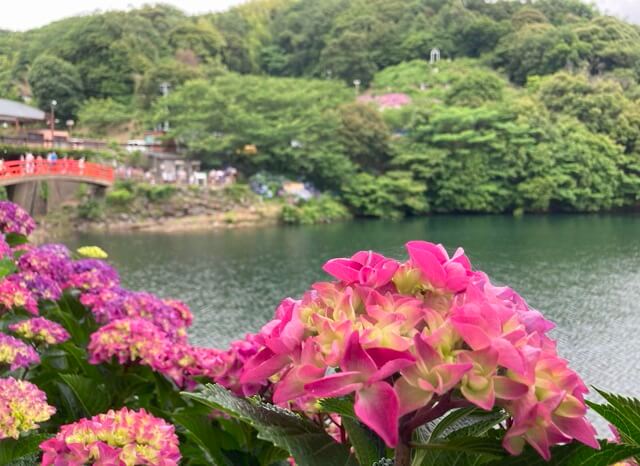 形原温泉あじさいの里