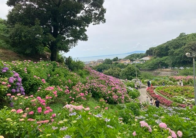 形原温泉あじさいの里