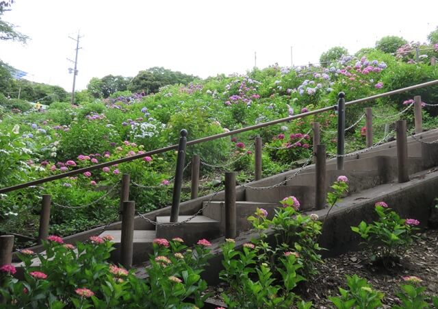 形原温泉あじさいの里