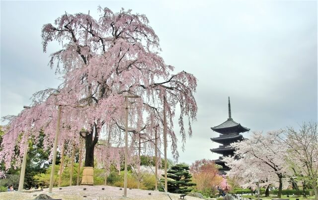 京都